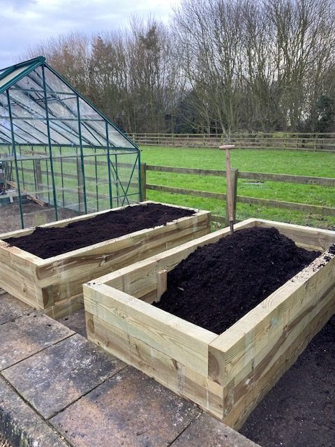 wooden raised compost beds with top quality compost in. 