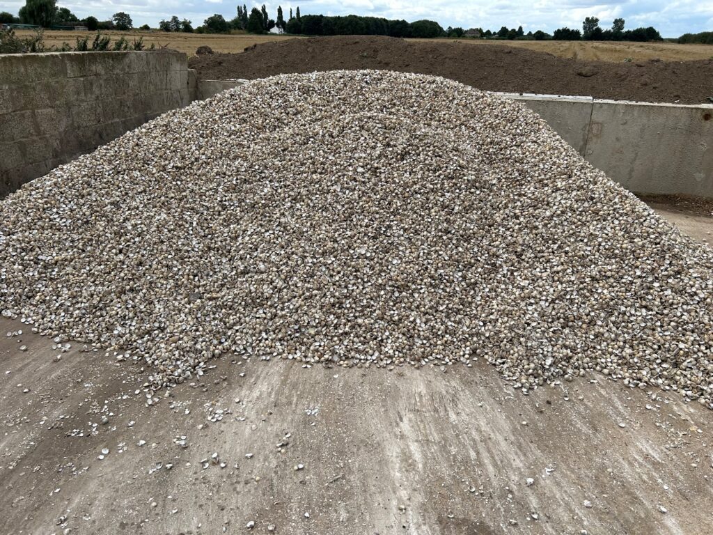 Big pile of decorative shells from Tanks and Tubs, Lincolnshire, UK