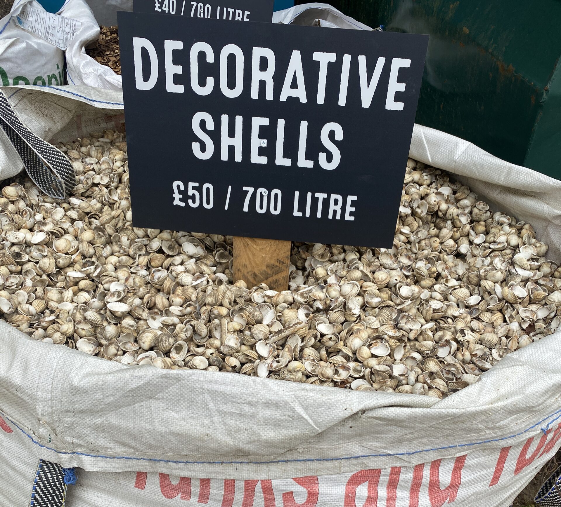 Decorative Shells