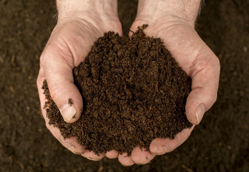 Raised Bed Mix