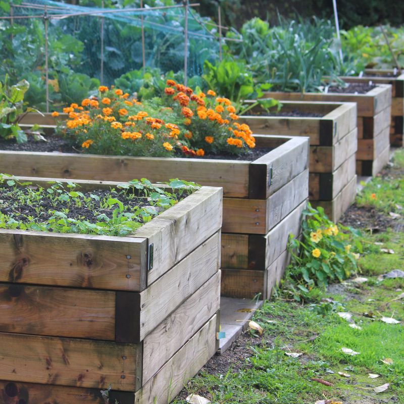 Raised Bed Mix - Image 2
